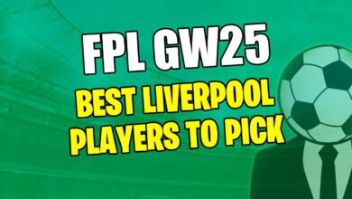 أفضل لاعبي ليفربول للاختيار من بينها FPL DGW25