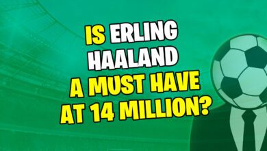 هل لا يزال إرلينج هالاند ضروريًا عند بلوغ 14 مليونًا؟