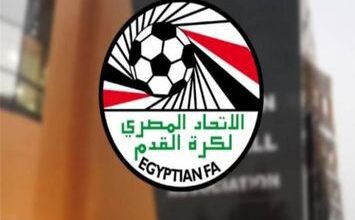 دوري المحترفين