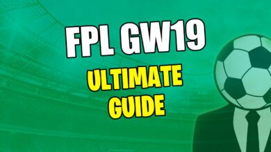 FPL GW19 الدليل النهائي 2024/25